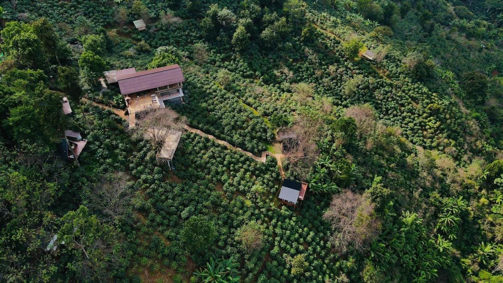 Ma Family Coffee Farm ไร่กาแฟครอบครัวมะ Menginap di pertanian *