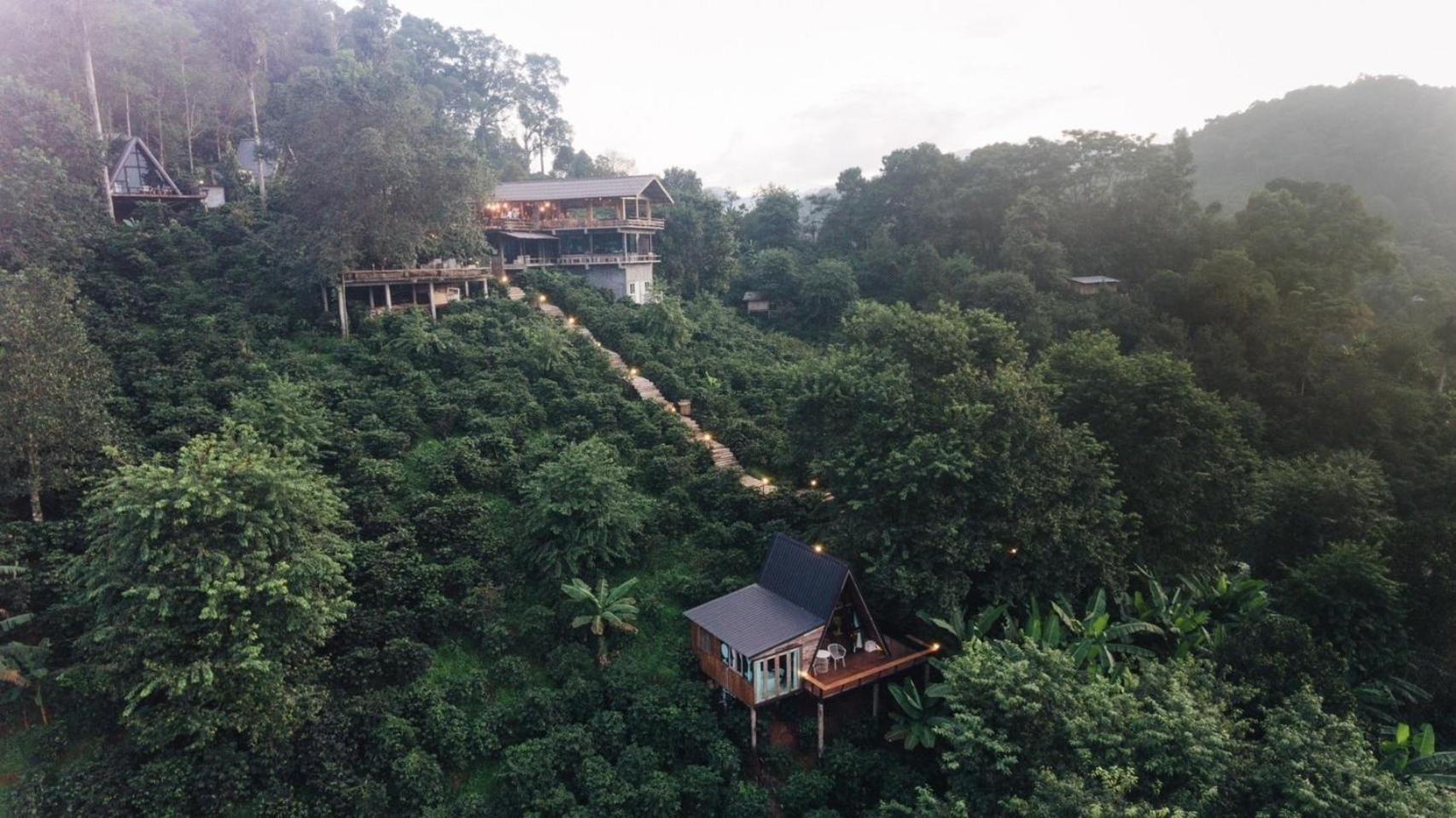 Ma Family Coffee Farm ไร่กาแฟครอบครัวมะ Menginap di pertanian Chiang Rai