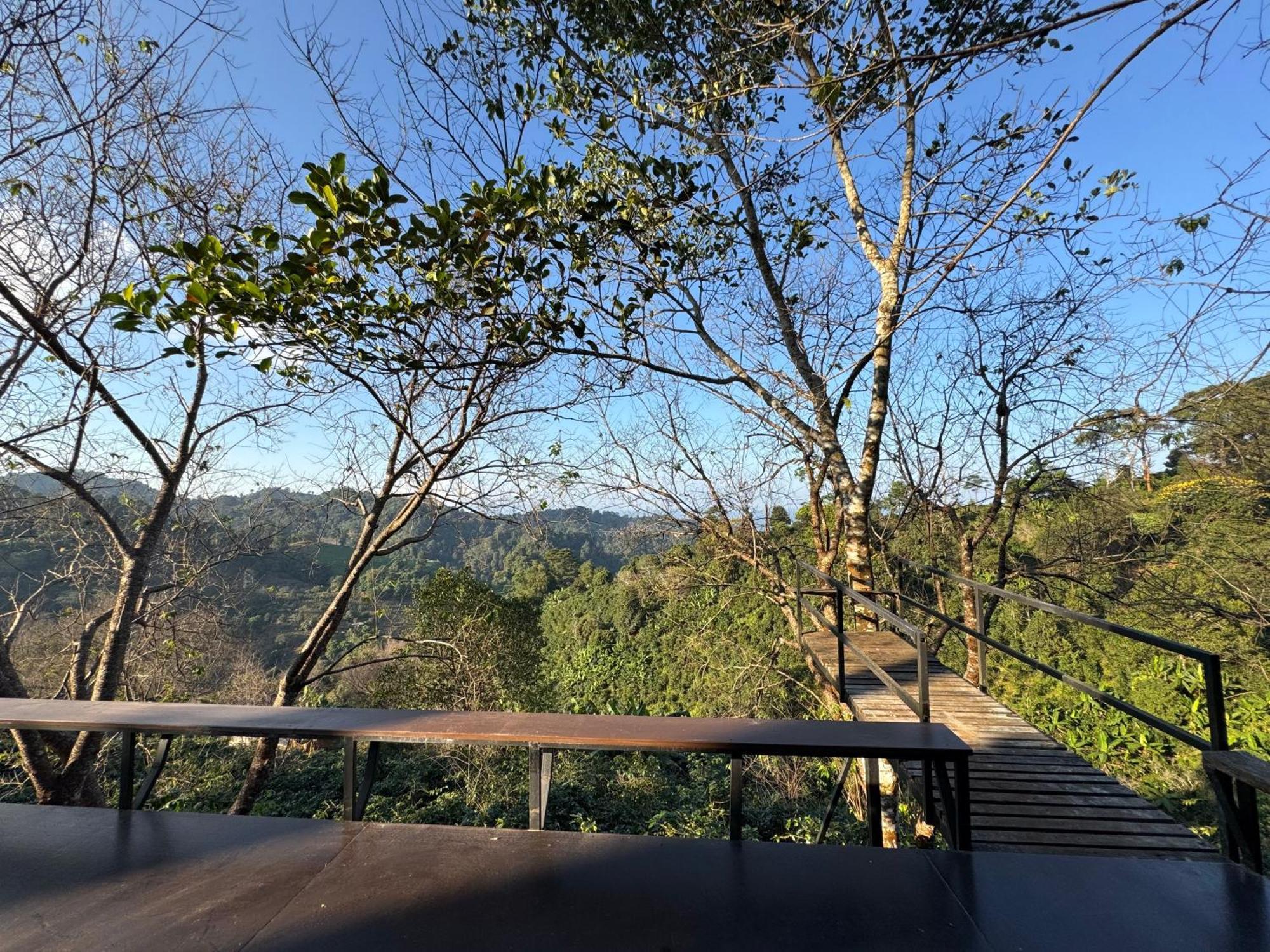 Menginap di pertanian Ma Family Coffee Farm ไร่กาแฟครอบครัวมะ Chiang Rai
